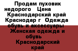 Продам пуховик недорого › Цена ­ 4 000 - Краснодарский край, Краснодар г. Одежда, обувь и аксессуары » Женская одежда и обувь   . Краснодарский край